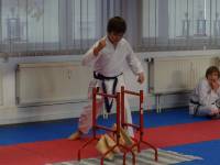 Dojo-Cup-2011_106