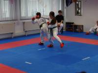 Dojo-Cup-2011_111