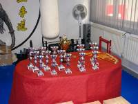 Dojo-Cup-2012_002