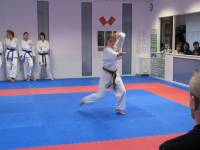 Dojo-Cup-2012_009