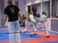 Dojo-Cup-2012_015