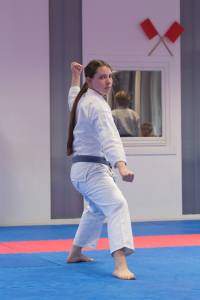 Dojo-Cup-2013_050