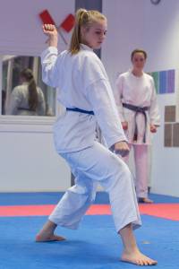 Dojo-Cup-2013_053